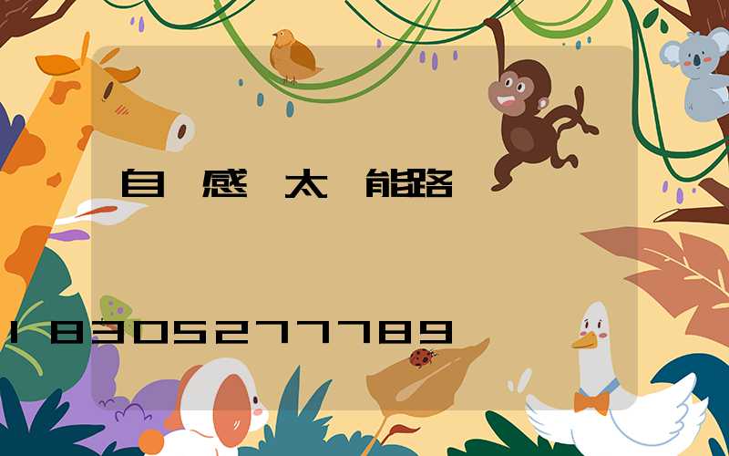 自動感應太陽能路燈