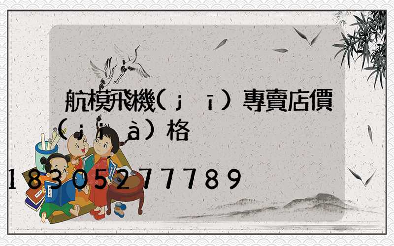 航模飛機(jī)專賣店價(jià)格