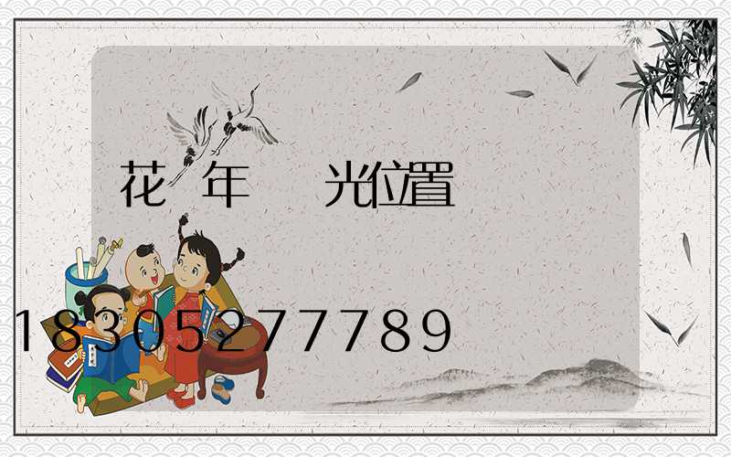 花樣年華燈光位置圖