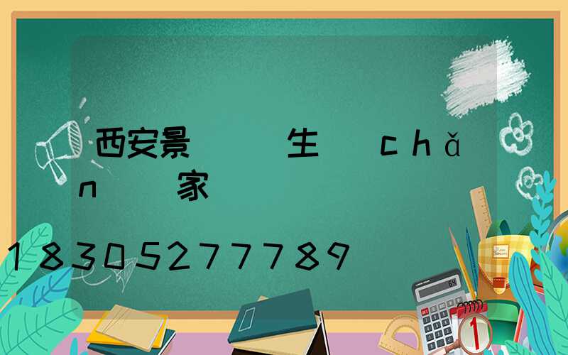 西安景觀燈籠生產(chǎn)廠家
