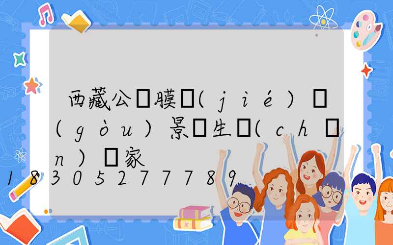 西藏公園膜結(jié)構(gòu)景觀生產(chǎn)廠家