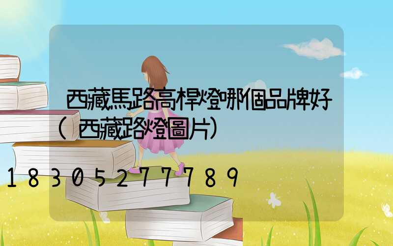 西藏馬路高桿燈哪個品牌好(西藏路燈圖片)