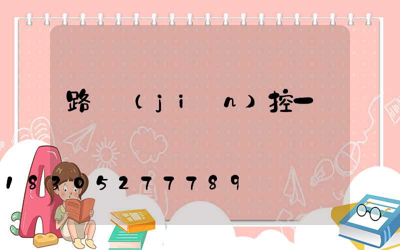路燈監(jiān)控一體桿