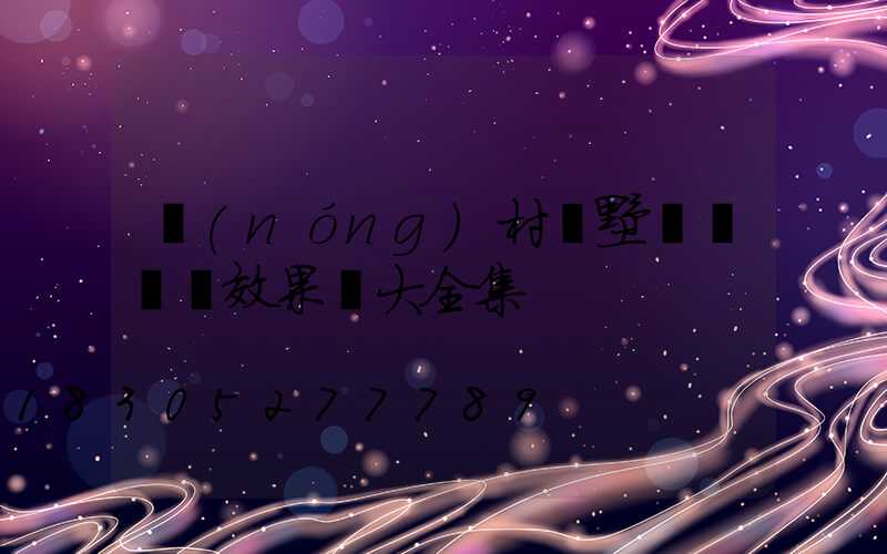 農(nóng)村別墅圍墻門頭效果圖大全集