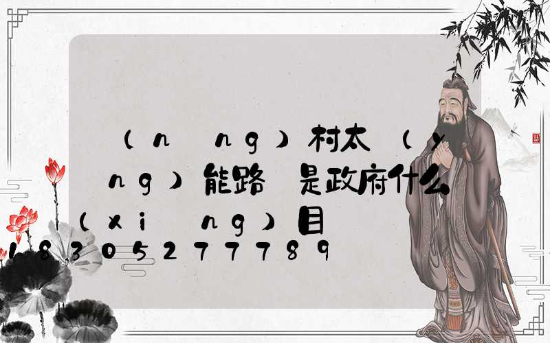 農(nóng)村太陽(yáng)能路燈是政府什么項(xiàng)目