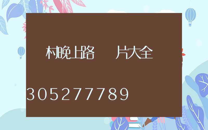 農村晚上路燈圖片大全