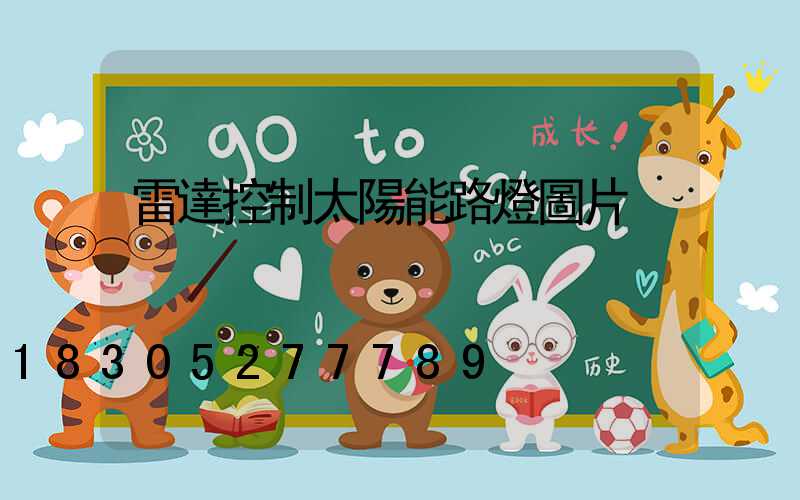 雷達控制太陽能路燈圖片
