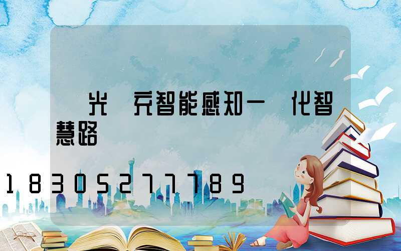 風光儲充智能感知一體化智慧路燈