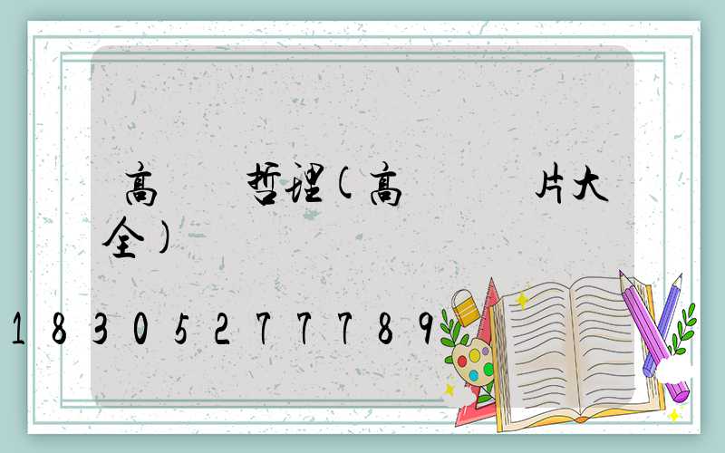高桿燈哲理(高桿燈圖片大全)