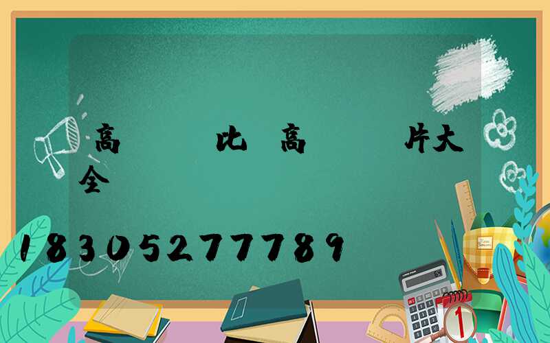 高桿燈對比(高桿燈圖片大全)