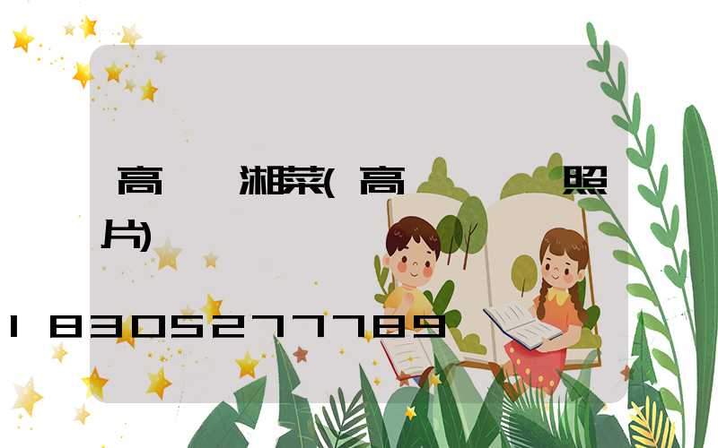 高桿燈湘菜(高桿燈燈頭照片)