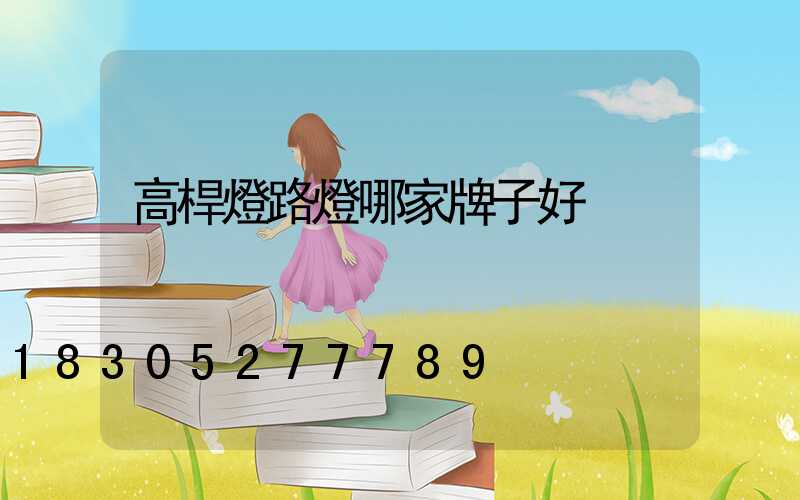 高桿燈路燈哪家牌子好