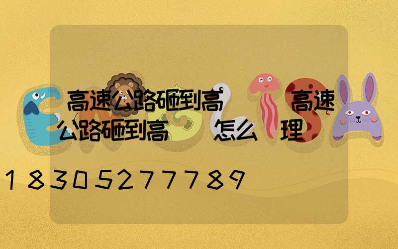 高速公路砸到高桿燈(高速公路砸到高桿燈怎么處理)