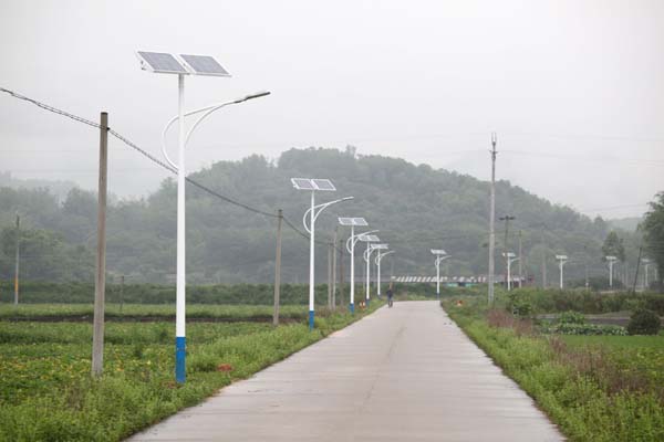 湖南湘潭新農村道路亮化改造工程